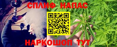 молекула духа Будённовск