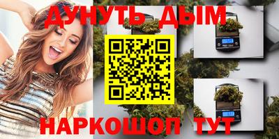 молекула духа Будённовск