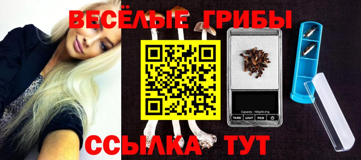 Ступино  Псилоцибиновые грибы Psilocybine cubensis  Вход с VPN  Псилоцибиновые грибы мухоморы 