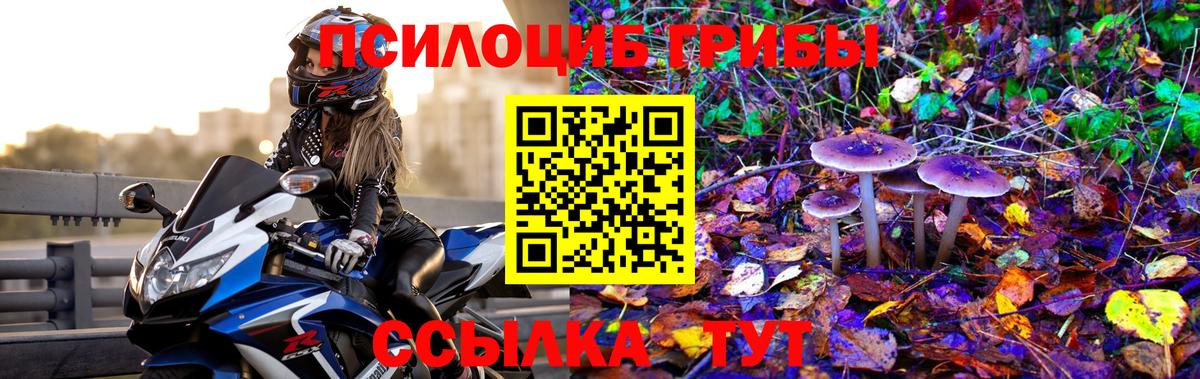 Галлюциногенные грибы мицелий Ступино